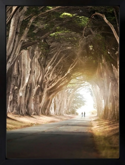 Ağaçlı Yol Duvar Tablosu 1. Fotoğraf