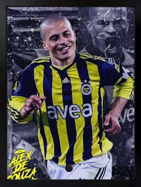 Alex de Souza Duvar Tablosu 1. Fotoğraf