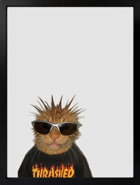 Cool Kedi Portre Duvar Tablosu 1. Fotoğraf