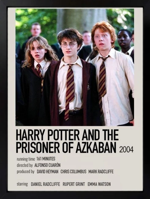 Harry Potter Duvar Tablosu 1. Fotoğraf