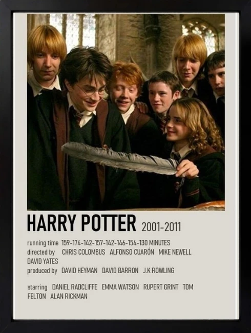 Harry Potter Poster Duvar Tablosu 1. Fotoğraf