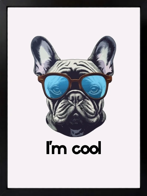 I'm Cool Duvar Tablosu 1. Fotoğraf