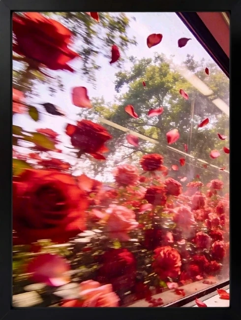 Kırmızı Çiçek Modern Duvar Tablosu 1. Fotoğraf