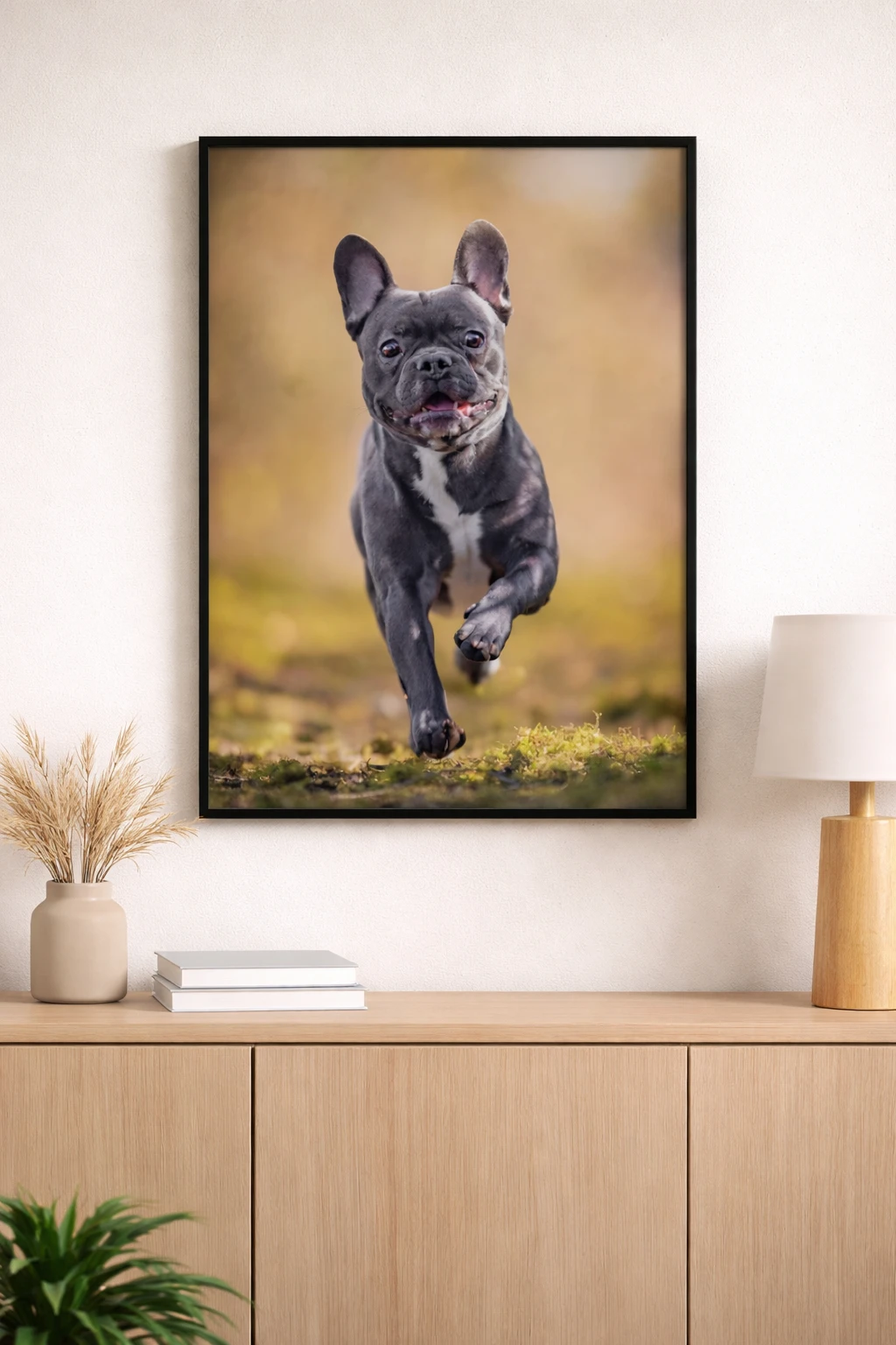Koşan Fransız Bulldog Duvar Tablosu 2. Fotoğraf