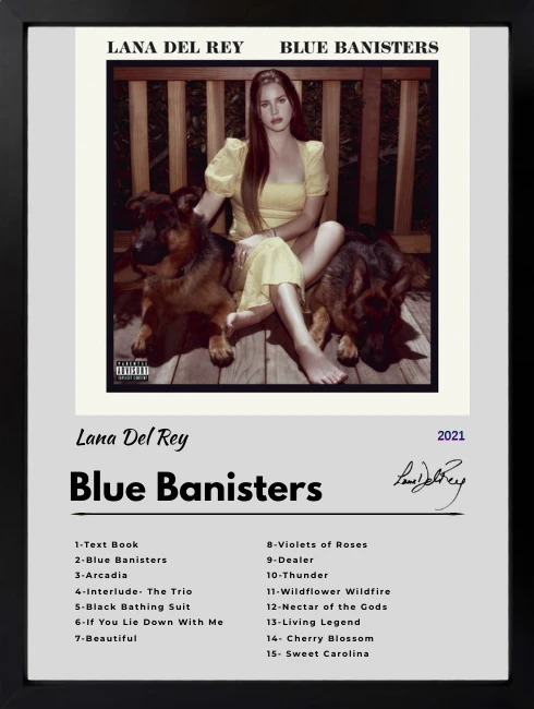 Lana Del Rey - Blue Banisters Duvar Tablosu 1. Fotoğraf