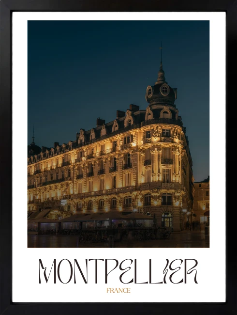 Montpellier Duvar Tablosu 2. Fotoğraf