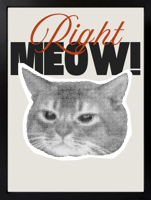 Right Meow Duvar Tablosu 1. Fotoğraf