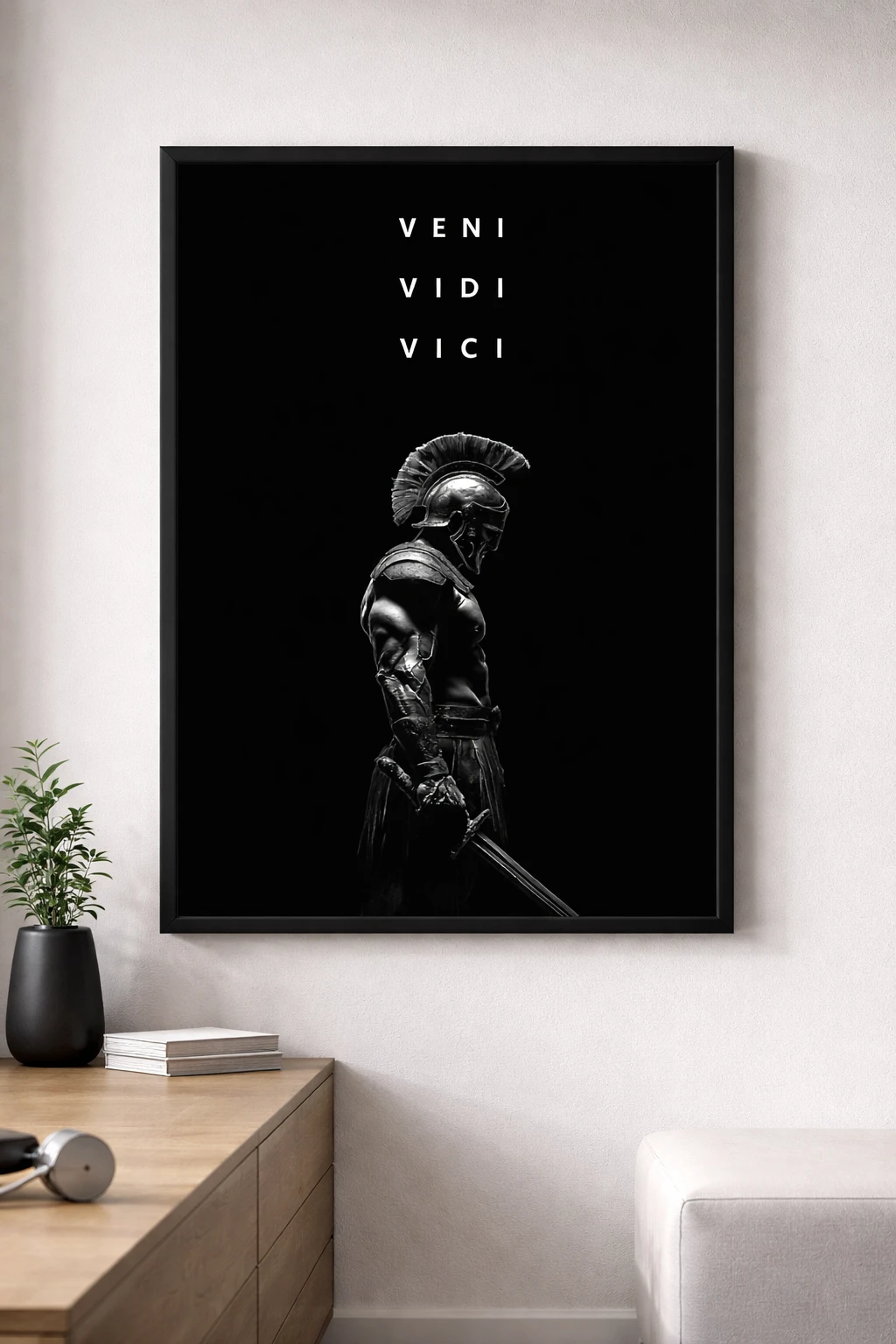 Veni Vidi Vici Duvar Tablosu