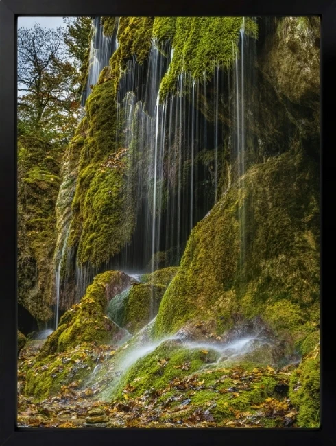 Yeşil Yosun Duvar Tablosu 1. Fotoğraf